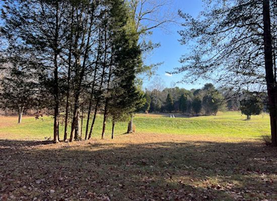 indiana/the-hoosier-national-forest/attraction/nighthawk-forest