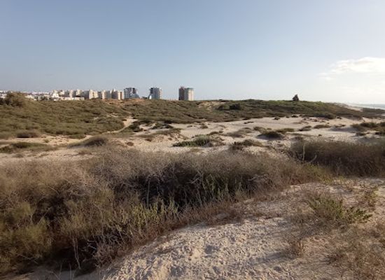 israel/ashdod/attraction/park-ecological