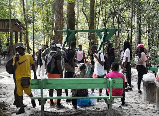 gabon/libreville/attraction/arboretum-raponda-walker