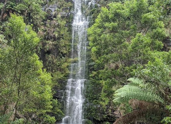 australia/eastern-victoria/attraction/erskine-falls