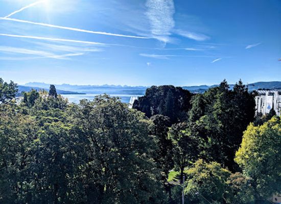 switzerland/zurich/enge/attraction/das-weisse-schloss