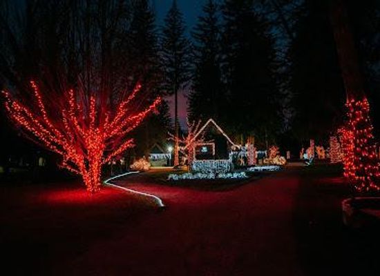 slovenia/velenje/attraction/mozirski-gaj