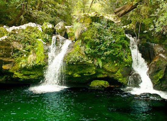 chile/los-rios-region/attraction/salto-de-bellavista