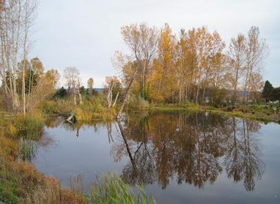 washington/kirkland/attraction/warren-g-magnuson-park