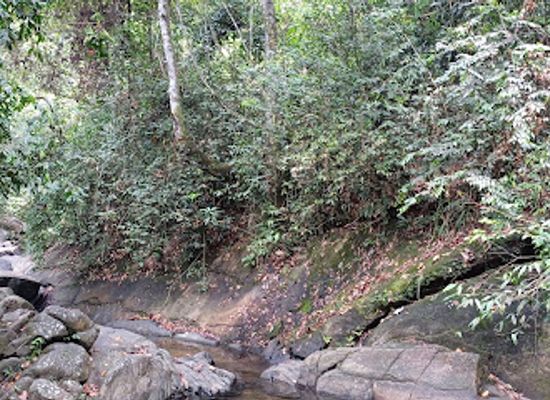 sri-lanka/ratnapura/attraction/pandalawa-ella