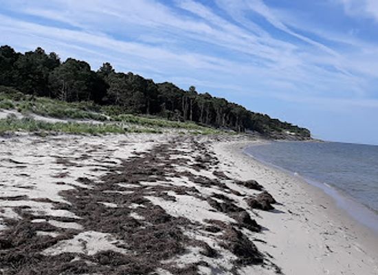 virginia/eastern-shore/attraction/savage-neck-dunes-natural-area-preserve