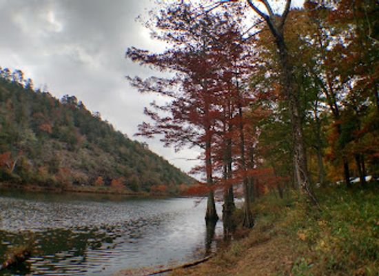 oklahoma/beavers-bend-state-park/attraction/beavers-bend-nature-center