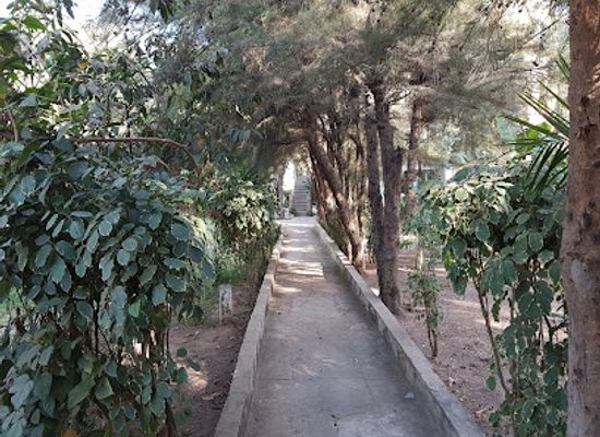 the-gambia/bakau/attraction/hypolink-village