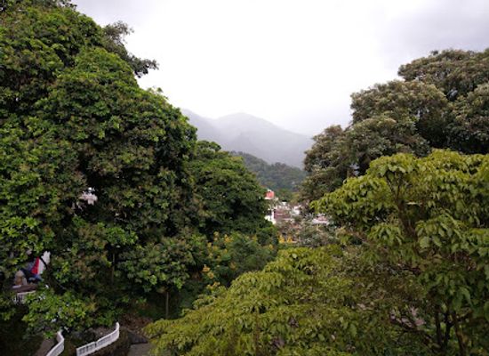 colombia/coffee-axis/attraction/centenario-park