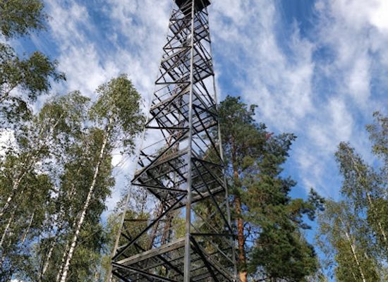 finland/pirkanmaa/attraction/sinivuori-strict-nature-reserve