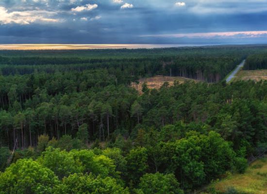 estonia/hiiumaa/attraction/kopu-lighthouse