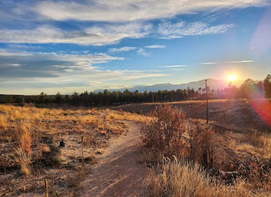 colorado/pikes-peak-region/attraction/black-forest-regional-park