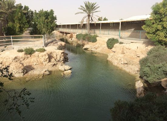 qatar/al-shamal/attraction/azwair-family-resort-tourism