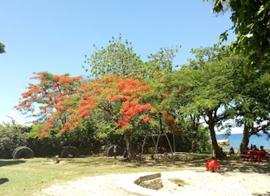 solomon-islands/guadalcanal/attraction/rove-children-s-park