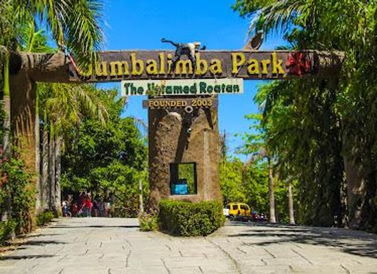 honduras/utila/attraction/gumbalimba-park