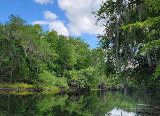 florida/santa-fe-river/attraction/river-rise-preserve-state-park