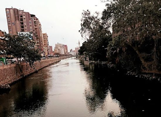 egypt/zagazig/attraction/bahr-moys