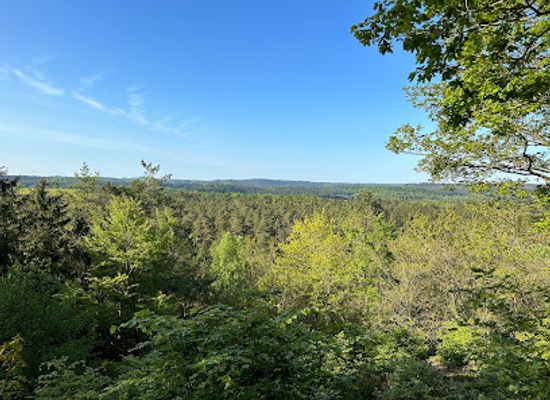 denmark/silkeborg/attraction/birkehoj-silkeborg