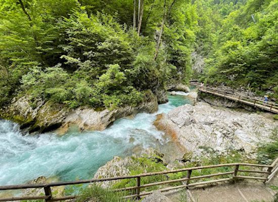 slovenia/posavje/attraction/soteska-vintgar