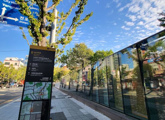 south-korea/busan/seomyeon/attraction/dongcheon-eunhaeng-namugil-ginko-street