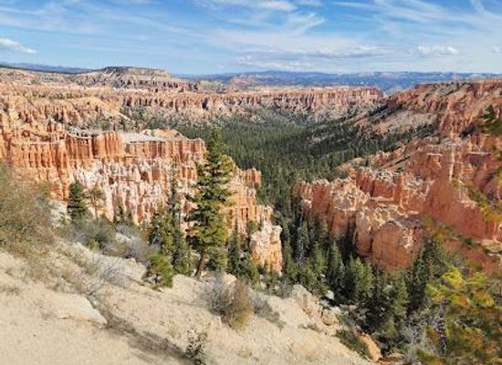 utah/cedar-city/attraction/dixie-national-forest