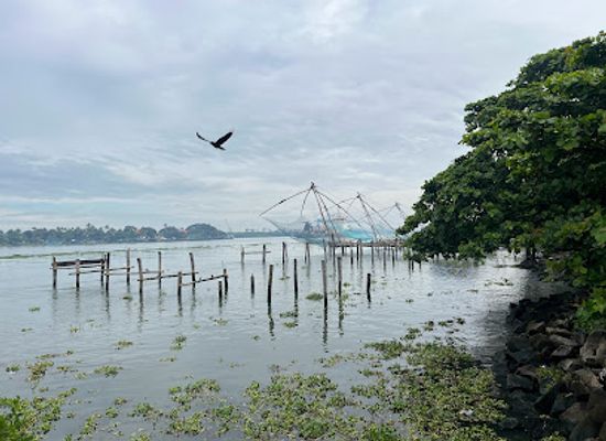 india/kochi/fort-kochi/attraction/fort-kochi