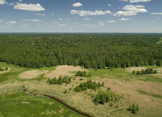 poland/białowieża-forest/attraction/sciezka-rekreacyjna