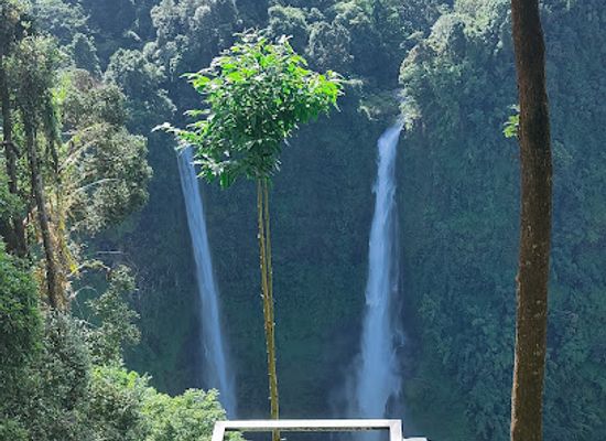 laos/phakse-province/attraction/zipline-tadfane