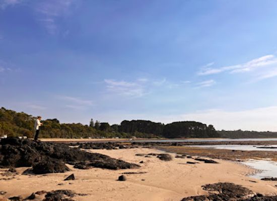 australia/mornington-peninsula/attraction/cleaves-point