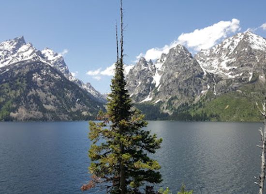 wyoming/teton-county/attraction/jackson-hole-aerial-tram-and-gondola-rides