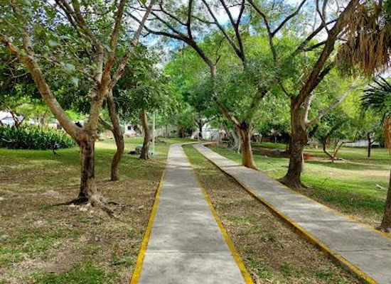 mexico/cancun/attraction/sm-4-park