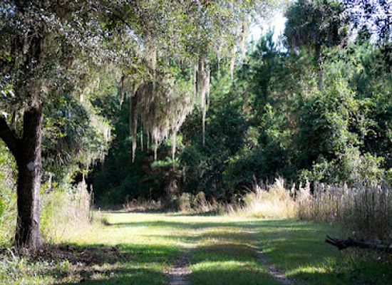 florida/ocala-national-forest/attraction/silver-springs-forest-conservation-area