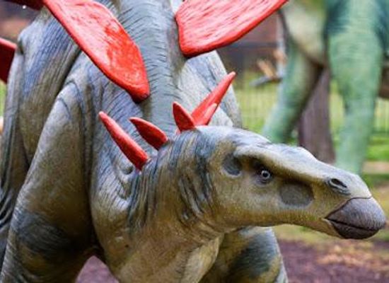 australia/canberra/attraction/national-dinosaur-museum