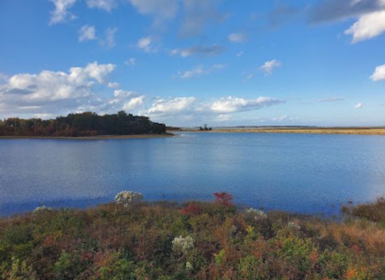 delaware/bombay-hook-national-wildlife-refuge/attraction/raymond-observation-tower-trail