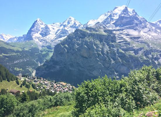 switzerland/jungfrau-region/attraction/flower-trail