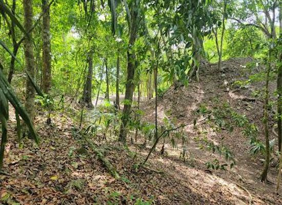 belize/cayo-district/attraction/el-pilar-archaeological-site
