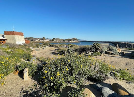 california/orange-county/attraction/beach-stairs