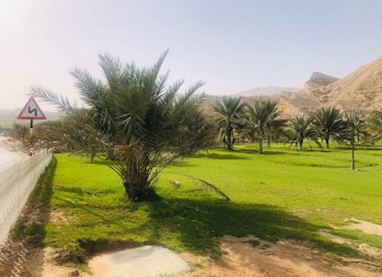 united-arab-emirates/al-ain-region/attraction/mini-train-hot-spring