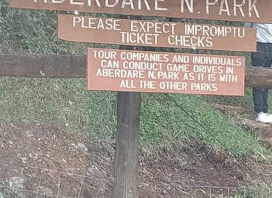 kenya/naivasha/attraction/aberdare-national-park