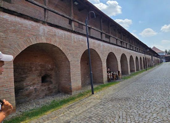 romania/mures/attraction/biblioteca-3g