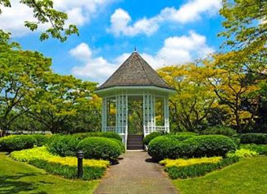 singapore/bugis/attraction/singapore-botanic-gardens