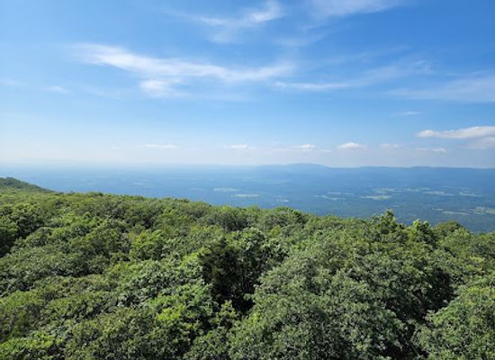 oklahoma/choctaw-country/attraction/kiamichi-lookout-tower