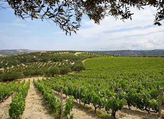 greece/heraklion/attraction/scalarea-estate-boutari-winery-crete