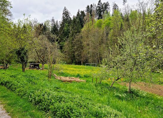 germany/baden/attraction/sieben-taler-hohle