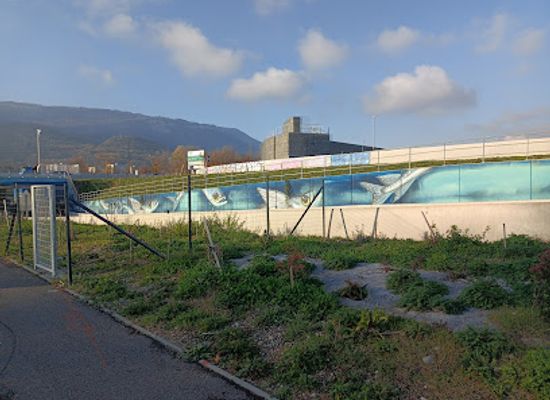 france/grenoble/attraction/flying-sardines