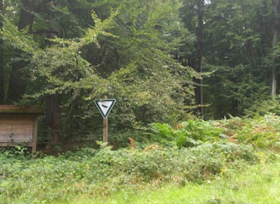 germany/spessart/attraction/naturschutzgebiet-rohrberg