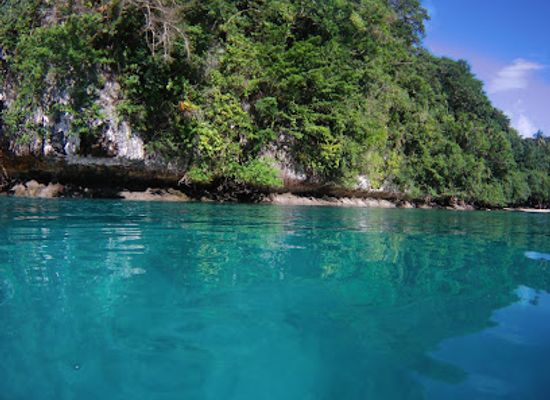 palau/southern-lagoon/attraction/ngchus