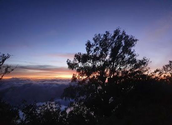 indonesia/bali/attraction/bukit-batukau
