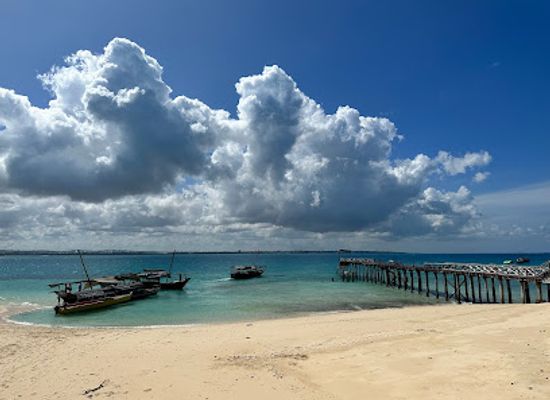 tanzania/zanzibar-archipelago/attraction/prison-island-zanzibar