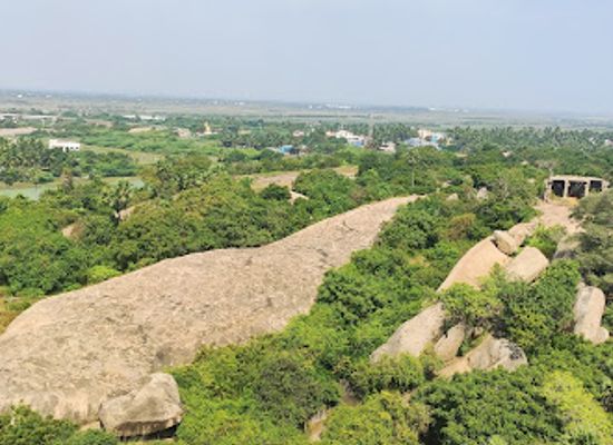 india/mahabalipuram/attraction/maritime-museum